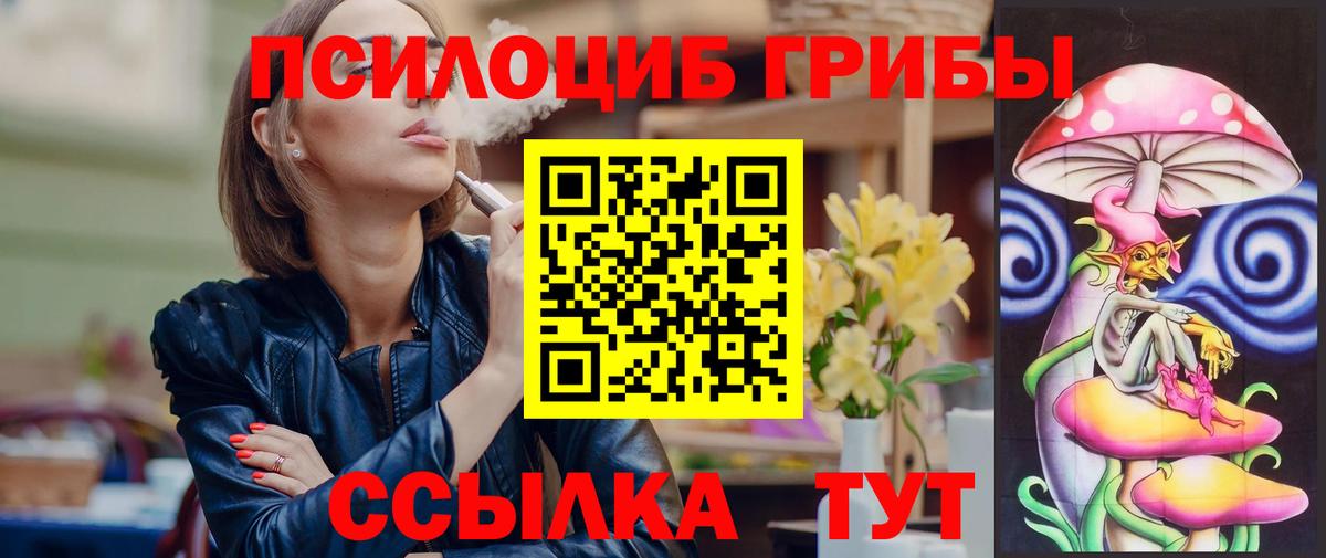 Бердск  Псилоцибиновые грибы GOLDEN TEACHER  купить наркотик  Вход с VPN 