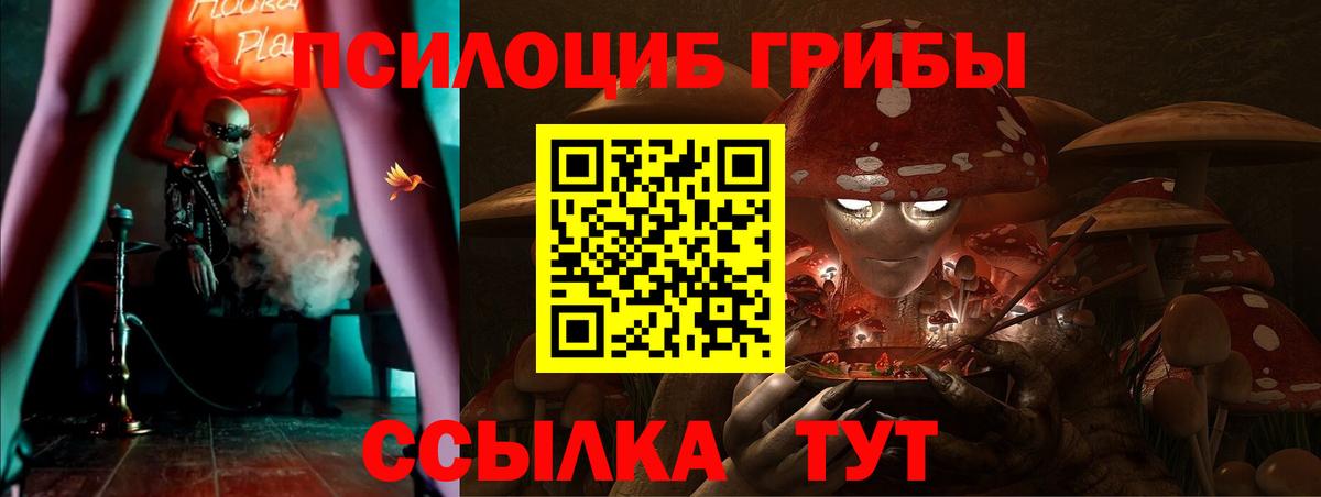Псилоцибиновые грибы мицелий Бердск